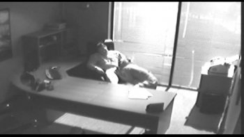 Как жена хотела отсосать соседу или случай на дне рождении порно рассказы