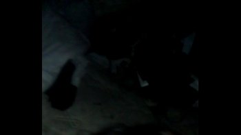 Ебут блядей и кончают в рот