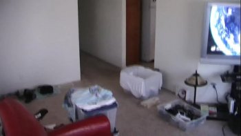 Склонилась над его половым органом